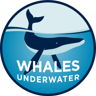 Whales Underwater Tours