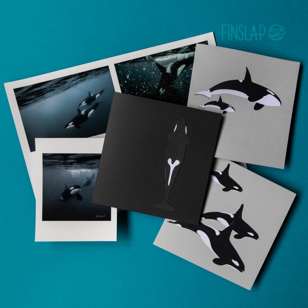 Orca Cards Finslap Shop