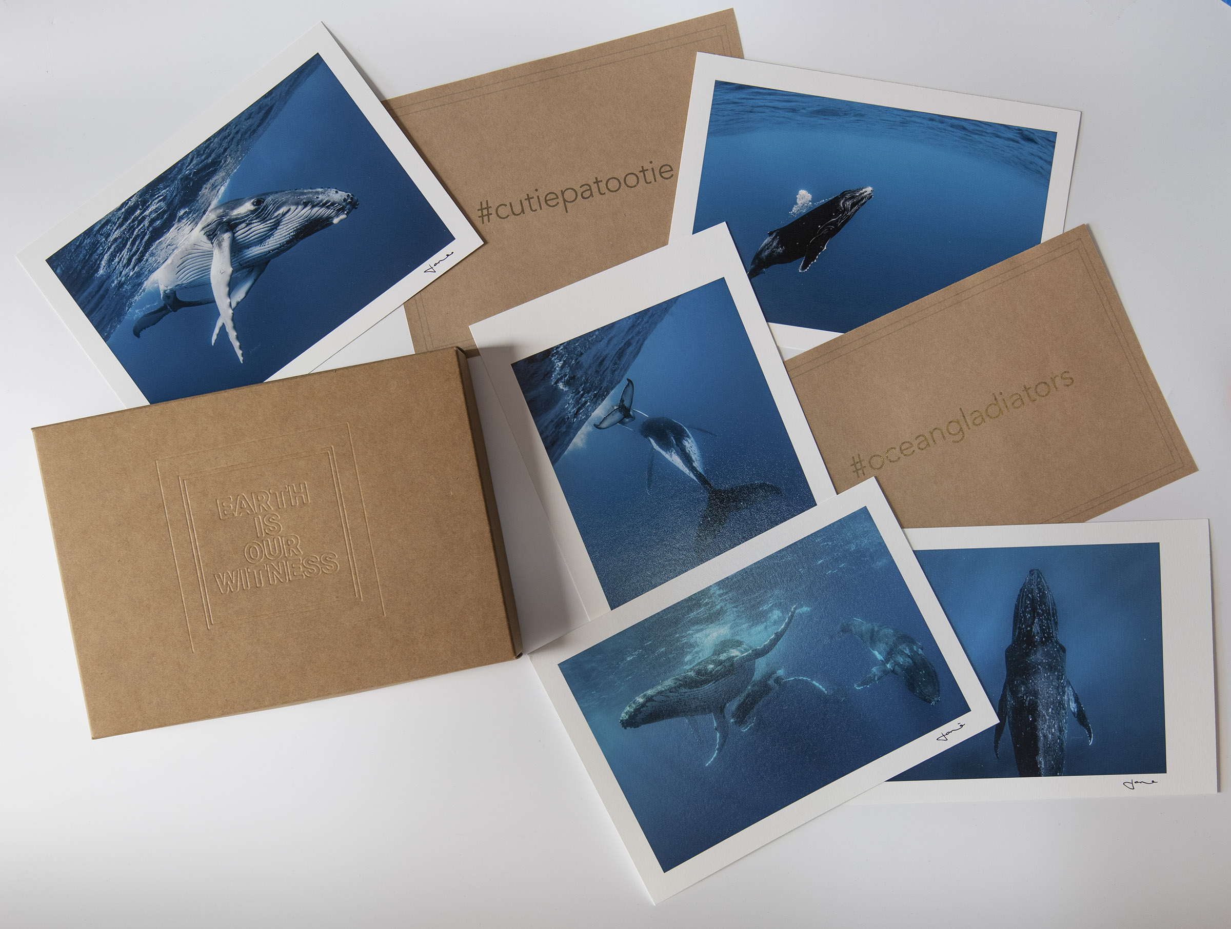 EIOW Box Set – Secret Life of Whales – Finslap Shop